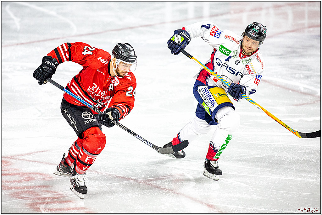 DEL;  Koelner Haie - Eisbaeren Berlin; Koeln, 12.01.2020